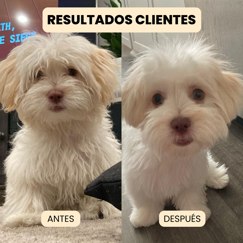 Cepillo de Vapor 3 en 1 - Elimina Muda de Pelo de Mascotas