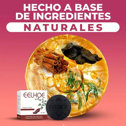 SHAMPOO NATURAL RESTAURADOR DE CABELLO
